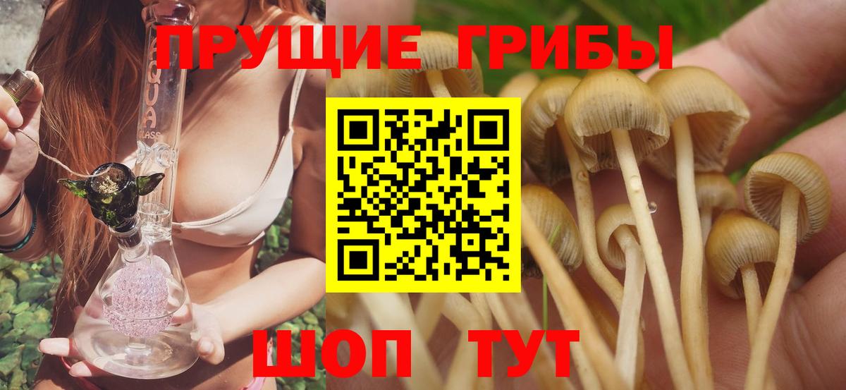 Галлюциногенные грибы мицелий Шебекино